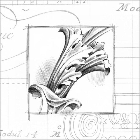 Acanthus Detail I White Modern Wood Framed Art Print by Harper, Ethan