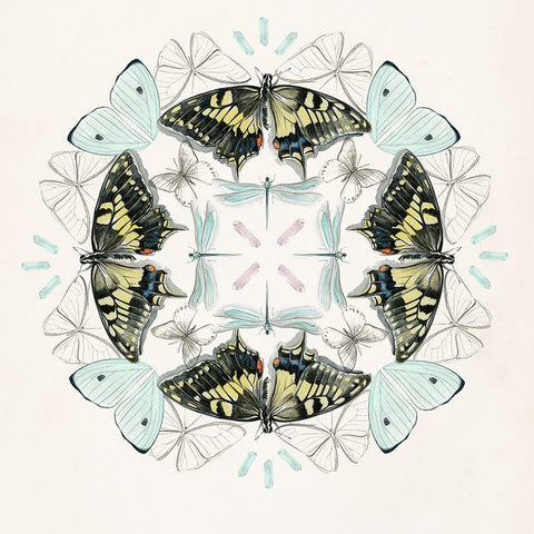 Butterfly Mandala I White Modern Wood Framed Art Print with Double Matting by Parker, Jennifer Paxton