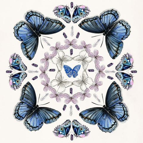 Butterfly Mandala II White Modern Wood Framed Art Print with Double Matting by Parker, Jennifer Paxton