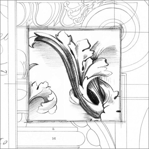 Acanthus Detail II Black Modern Wood Framed Art Print by Harper, Ethan
