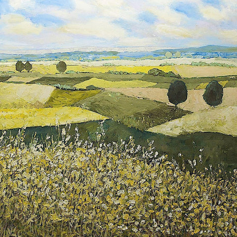 Green Hills Black Modern Wood Framed Art Print by Friedlander, Allen