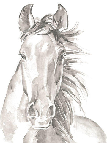 Custom Farm Faces II White Modern Wood Framed Art Print with Double Matting by Parker, Jennifer Paxton