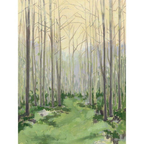 Custom Delicate Forest I Black Modern Wood Framed Art Print with Double Matting by Meagher, Megan