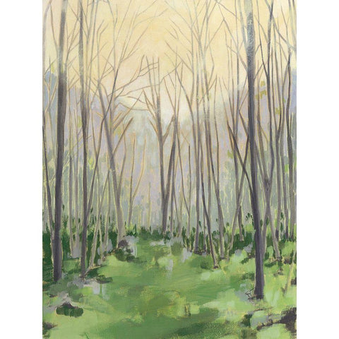 Custom Delicate Forest II Black Modern Wood Framed Art Print with Double Matting by Meagher, Megan