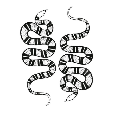 Epidaurus Snake II Black Modern Wood Framed Art Print with Double Matting by Scarvey, Emma