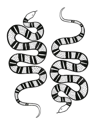 Epidaurus Snake II White Modern Wood Framed Art Print with Double Matting by Scarvey, Emma