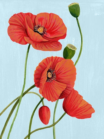 Poppy Topple I Black Ornate Wood Framed Art Print with Double Matting by Popp, Grace
