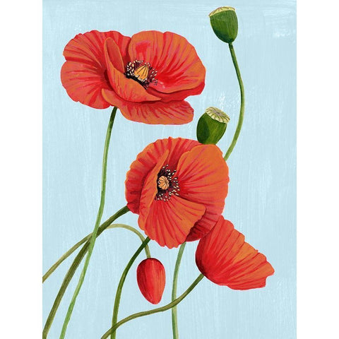 Poppy Topple I White Modern Wood Framed Art Print by Popp, Grace