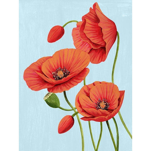 Poppy Topple II Black Modern Wood Framed Art Print with Double Matting by Popp, Grace