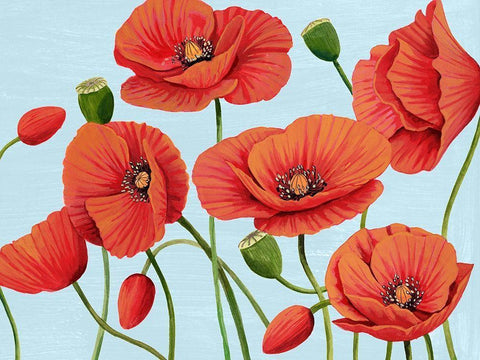 Poppy Topple III White Modern Wood Framed Art Print with Double Matting by Popp, Grace