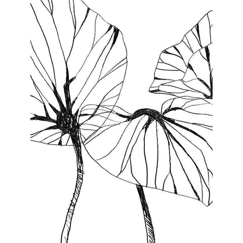 Linear Tropics I Black Modern Wood Framed Art Print with Double Matting by Vess, June Erica