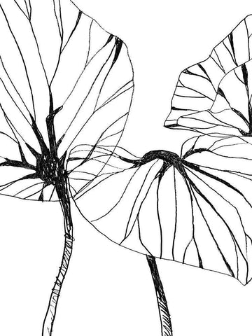 Linear Tropics I Black Ornate Wood Framed Art Print with Double Matting by Vess, June Erica