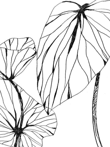 Linear Tropics II Black Ornate Wood Framed Art Print with Double Matting by Vess, June Erica