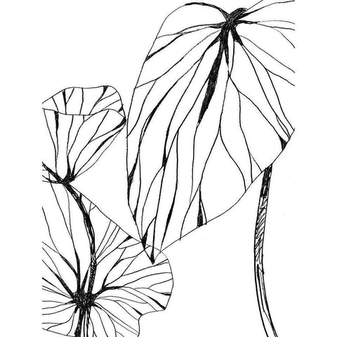 Linear Tropics II Black Modern Wood Framed Art Print with Double Matting by Vess, June Erica