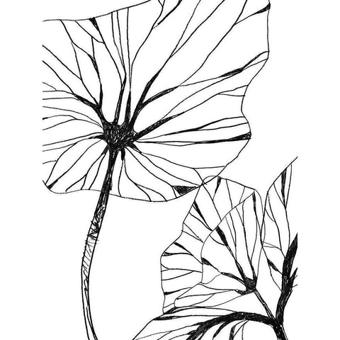 Linear Tropics III Black Modern Wood Framed Art Print with Double Matting by Vess, June Erica