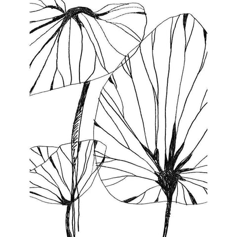 Linear Tropics IV Black Modern Wood Framed Art Print with Double Matting by Vess, June Erica