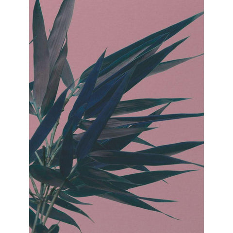 Bamboo Pink I White Modern Wood Framed Art Print by Stramel, Renee W.