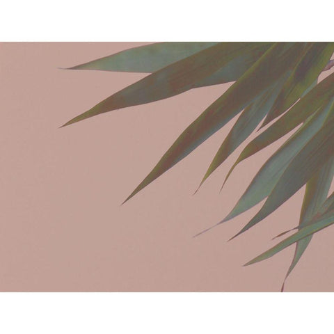 Bamboo Pink III Gold Ornate Wood Framed Art Print with Double Matting by Stramel, Renee W.