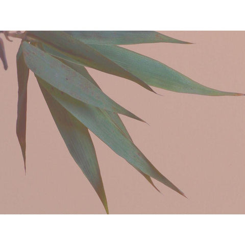 Bamboo Pink IV Black Modern Wood Framed Art Print with Double Matting by Stramel, Renee W.