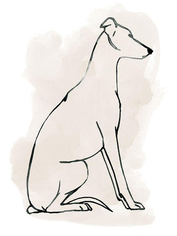 Greyhound Sketch I White Modern Wood Framed Art Print with Double Matting by Popp, Grace