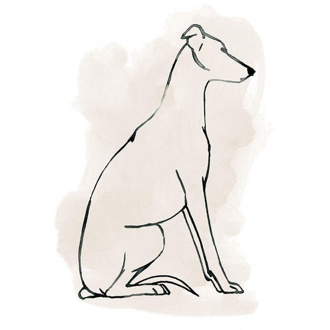 Greyhound Sketch I Gold Ornate Wood Framed Art Print with Double Matting by Popp, Grace