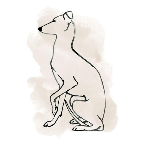 Greyhound Sketch II Black Modern Wood Framed Art Print with Double Matting by Popp, Grace