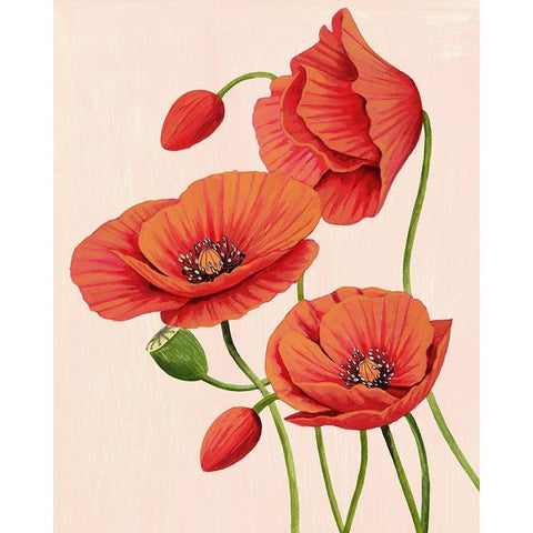 Soft Coral Poppies II Gold Ornate Wood Framed Art Print with Double Matting by Popp, Grace