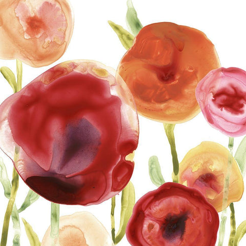 Poppy Patch III White Modern Wood Framed Art Print by Vess, June Erica