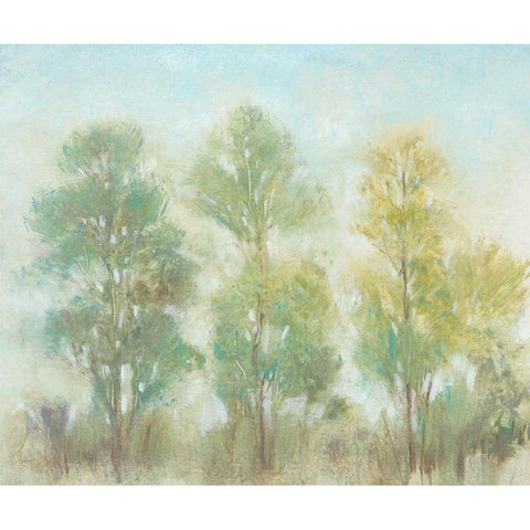 Muted Trees II White Modern Wood Framed Art Print by OToole, Tim