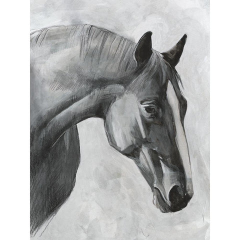 Cavallo I Black Modern Wood Framed Art Print with Double Matting by Scarvey, Emma