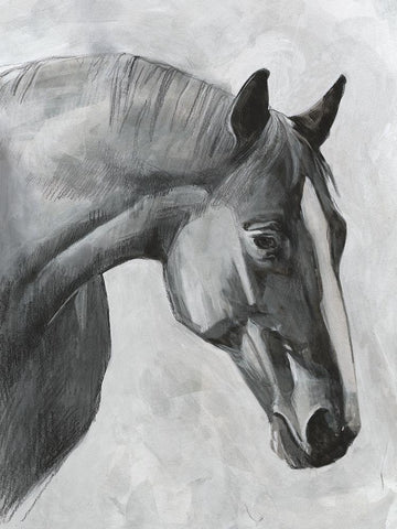Cavallo I Black Ornate Wood Framed Art Print with Double Matting by Scarvey, Emma
