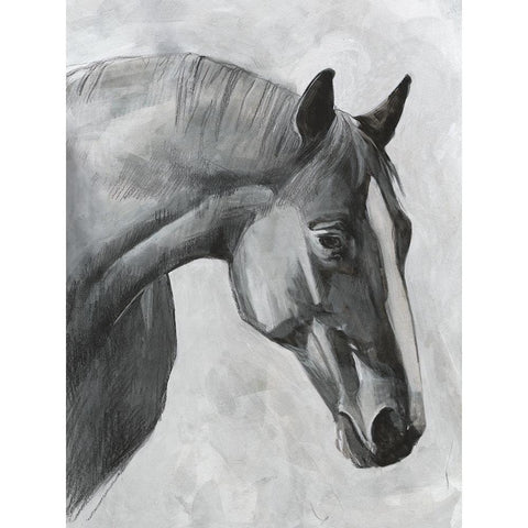 Cavallo I Black Modern Wood Framed Art Print by Scarvey, Emma
