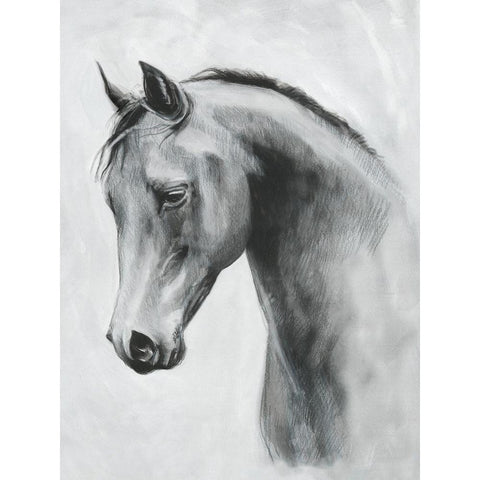 Cavallo II Black Modern Wood Framed Art Print by Scarvey, Emma