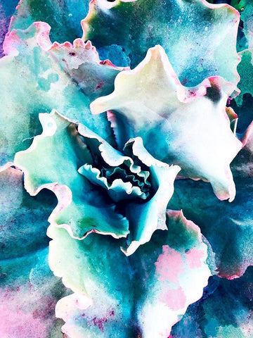 Pastel Succulent Beauty I White Modern Wood Framed Art Print with Double Matting by Orlov, Irena