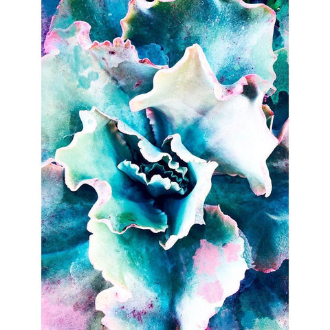 Pastel Succulent Beauty I White Modern Wood Framed Art Print by Orlov, Irena