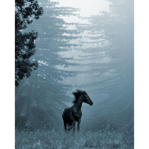 Horse in the Trees I Gold Ornate Wood Framed Art Print with Double Matting by Friedman, Susan