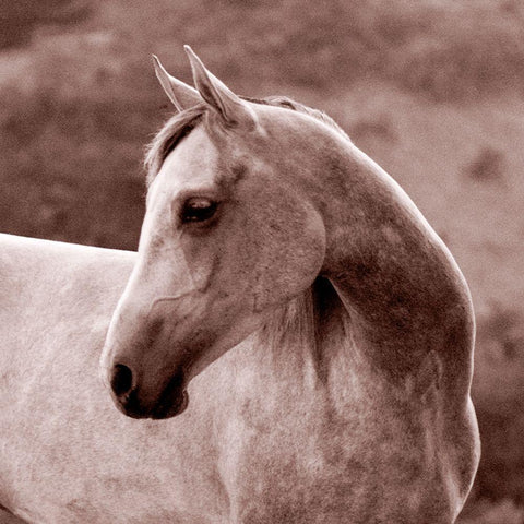 Tempest Gold Ornate Wood Framed Art Print with Double Matting by Friedman, Susan