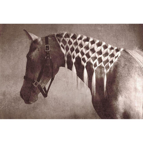 Weave White Modern Wood Framed Art Print by Friedman, Susan