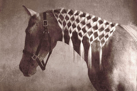 Weave White Modern Wood Framed Art Print with Double Matting by Friedman, Susan