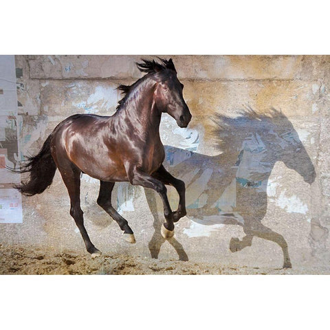 Shadow White Modern Wood Framed Art Print by Friedman, Susan