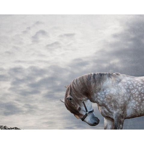 Vito Black Modern Wood Framed Art Print by Friedman, Susan