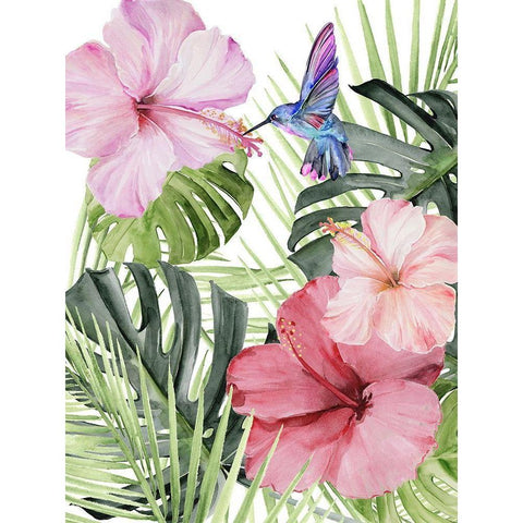 Hibiscus and Hummingbird I Black Modern Wood Framed Art Print with Double Matting by Parker, Jennifer Paxton