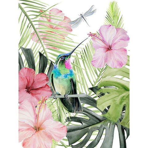 Hibiscus and Hummingbird II Black Modern Wood Framed Art Print with Double Matting by Parker, Jennifer Paxton