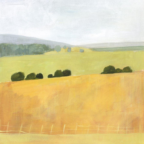 Soft Fieldscape II Black Ornate Wood Framed Art Print with Double Matting by Borges, Victoria