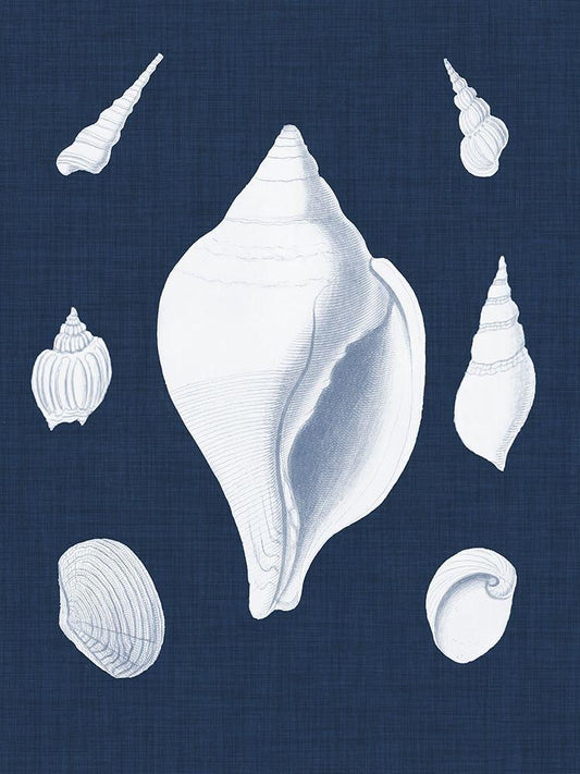 Image Only