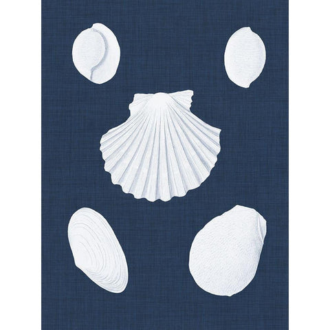 Coquillages Blancs III White Modern Wood Framed Art Print by Vision Studio