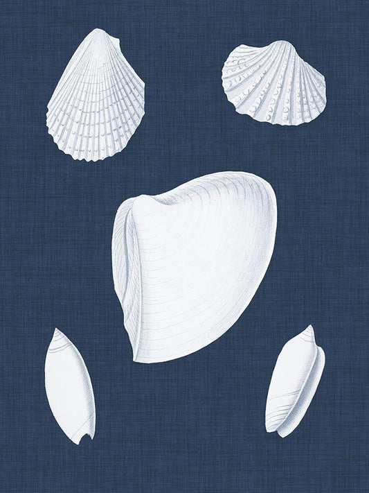 Image Only