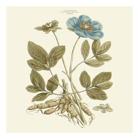 Custom Bashful Blue Florals I Gold Ornate Wood Framed Art Print with Double Matting by Miller, John