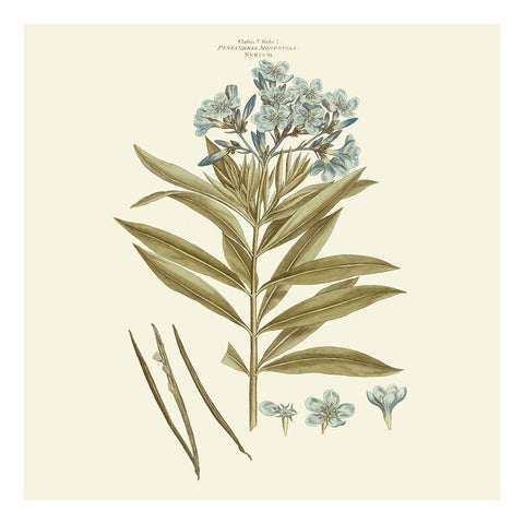 Custom Bashful Blue Florals III White Modern Wood Framed Art Print by Miller, John