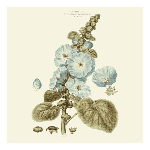 Custom Bashful Blue Florals IV Black Ornate Wood Framed Art Print with Double Matting by Miller, John